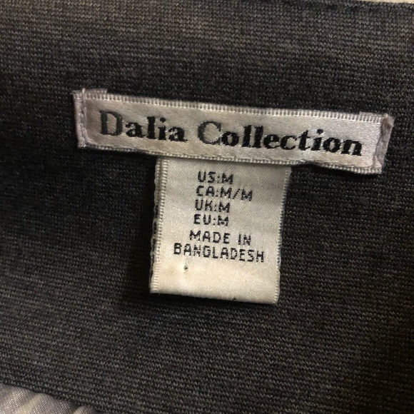 Long Grey Suit Jacket with Amazing Interior - Picture 6 of 6